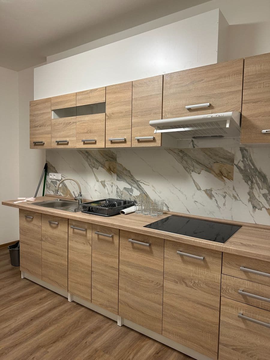 Prenájom bytu 2-izbový 59 m², Herálecká Ⅰ, Praha, Praha Prenájom bytu 2-izbový 59 m², Herálecká Ⅰ, Praha, Praha