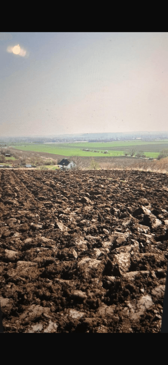 Predaj pozemku 3.892 m², Jeviněves, Středočeský kraj Predaj pozemku 3.892 m², Jeviněves, Středočeský kraj