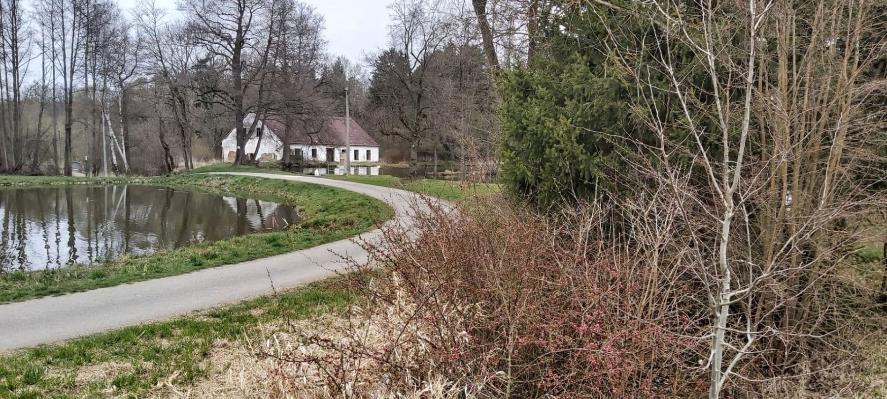 Prenájom pozemku 208 m², V Plaňkách, Rokycany, Plzeňský kraj Prenájom pozemku 208 m², V Plaňkách, Rokycany, Plzeňský kraj