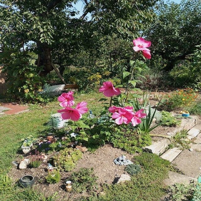 Predaj rekreačného objektu 16 m², pozemek 313 m², Na Rybářce, Praha, Praha Predaj rekreačného objektu 16 m², pozemek 313 m², Na Rybářce, Praha, Praha