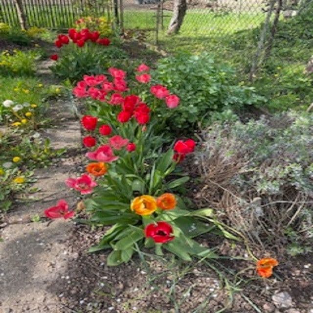 Predaj rekreačného objektu 16 m², pozemek 313 m², Na Rybářce, Praha, Praha Predaj rekreačného objektu 16 m², pozemek 313 m², Na Rybářce, Praha, Praha