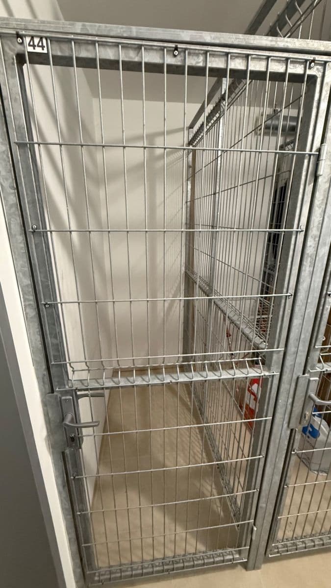 Prenájom bytu 2-izbový 65 m², Kigginsova, Brno, Jihomoravský kraj Prenájom bytu 2-izbový 65 m², Kigginsova, Brno, Jihomoravský kraj