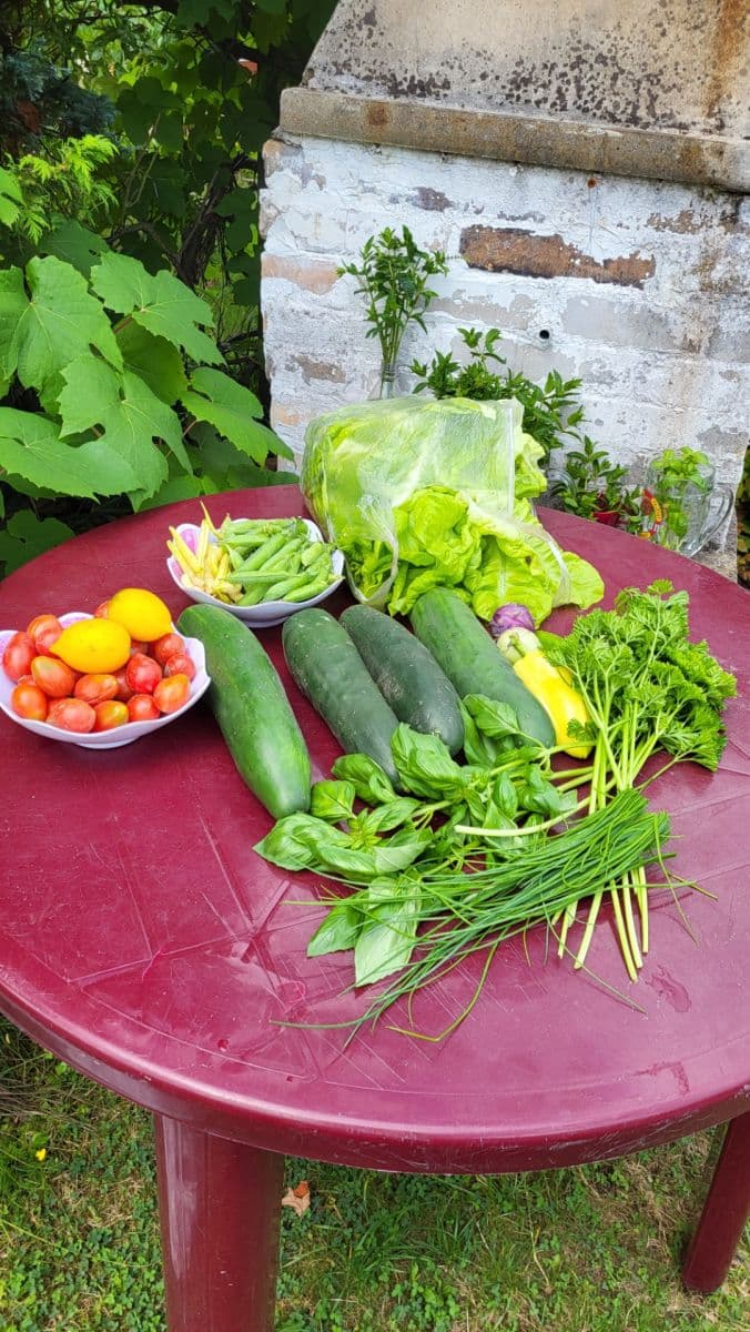 Predaj pozemku 655 m², Březová, Děčín, Ústecký kraj Predaj pozemku 655 m², Březová, Děčín, Ústecký kraj