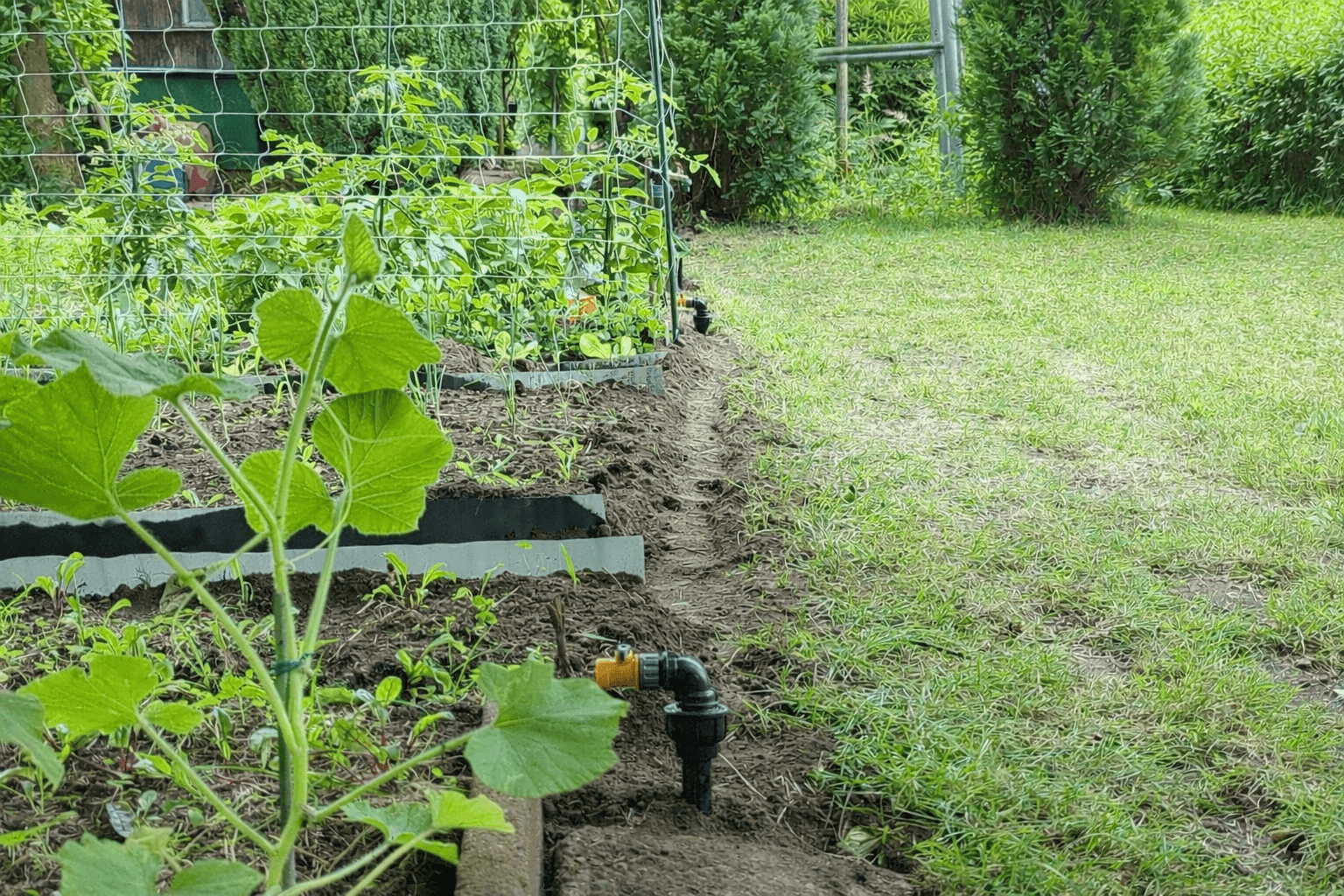 Predaj pozemku 655 m², Březová, Děčín, Ústecký kraj Predaj pozemku 655 m², Březová, Děčín, Ústecký kraj