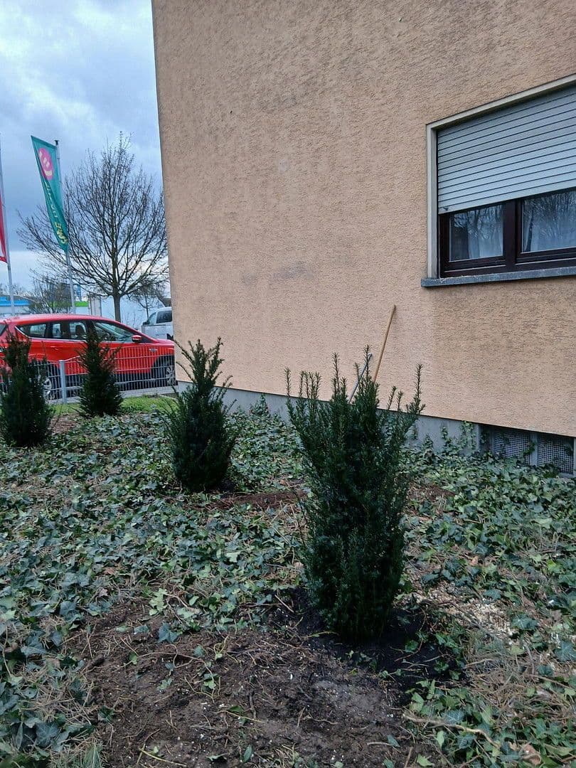 Prenájom bytu 3-izbový 86 m², Ludwigshafen, Porýnie-Falcko Prenájom bytu 3-izbový 86 m², Ludwigshafen, Porýnie-Falcko