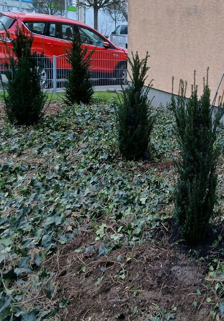 Prenájom bytu 3-izbový 86 m², Ludwigshafen, Porýnie-Falcko Prenájom bytu 3-izbový 86 m², Ludwigshafen, Porýnie-Falcko