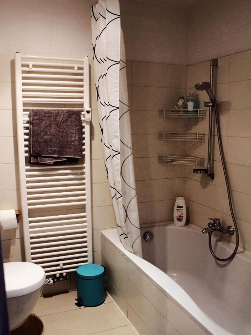 Prenájom bytu 2-izbový 49 m², Mannheim, Bádensko-Wurttembersko Prenájom bytu 2-izbový 49 m², Mannheim, Bádensko-Wurttembersko