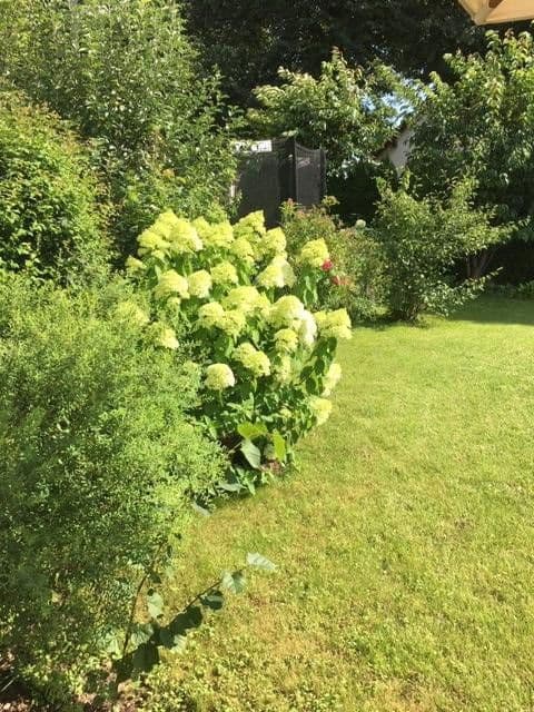 Prenájom domu 172 m², pozemek 325 m², Schneemannstrasse 0, München, Bavorsko Prenájom domu 172 m², pozemek 325 m², Schneemannstrasse 0, München, Bavorsko