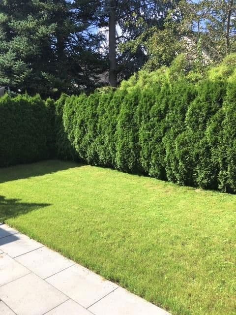 Prenájom domu 172 m², pozemek 325 m², Schneemannstrasse 0, München, Bavorsko Prenájom domu 172 m², pozemek 325 m², Schneemannstrasse 0, München, Bavorsko