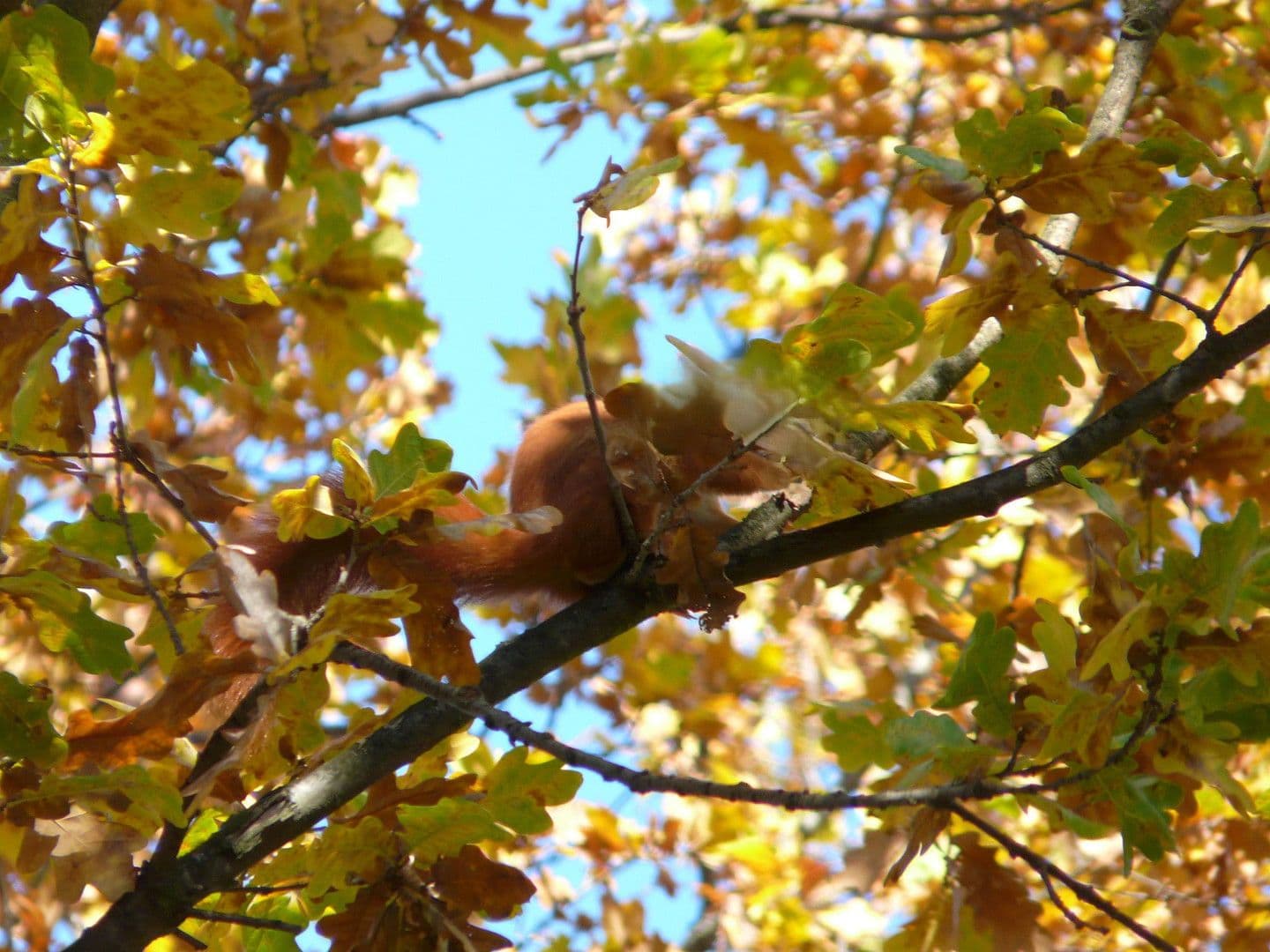 Predaj bytu 2-izbový 65 m², Fritzlarer Str. 8, Frankfurt am Main, Hesensko Predaj bytu 2-izbový 65 m², Fritzlarer Str. 8, Frankfurt am Main, Hesensko