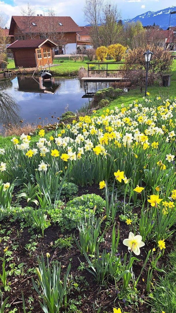 Predaj domu 200 m², pozemek 1.000 m², Burgberg im Allgäu, Bavorsko Predaj domu 200 m², pozemek 1.000 m², Burgberg im Allgäu, Bavorsko