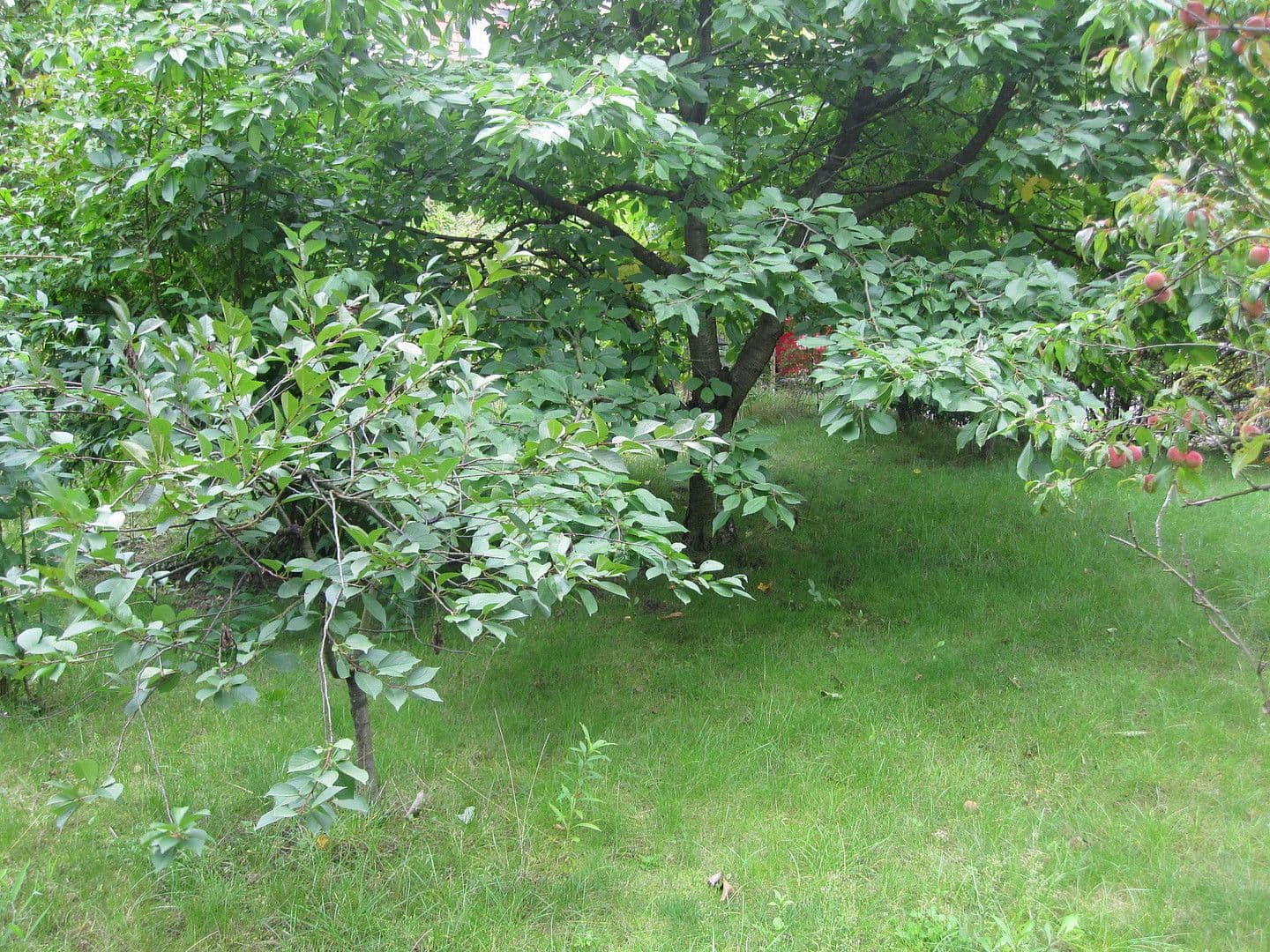 Prenájom bytu 3-izbový 64 m², Prenzlau, Brandenbursko Prenájom bytu 3-izbový 64 m², Prenzlau, Brandenbursko