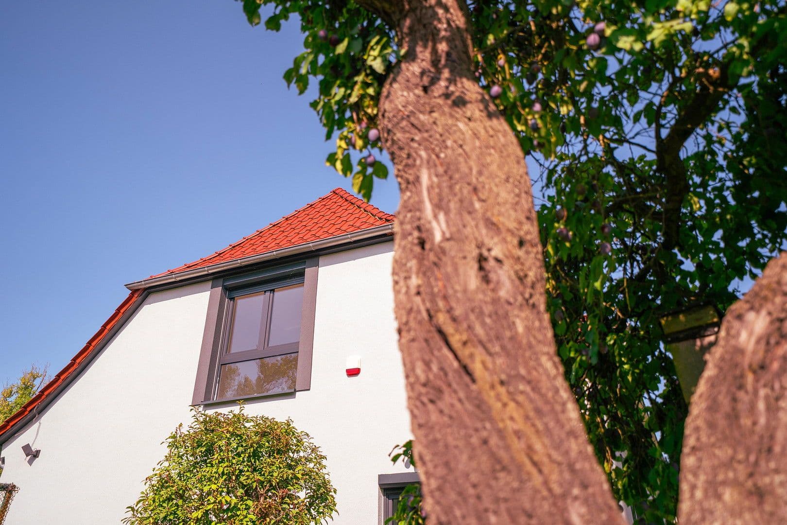 Predaj domu 238 m², pozemek 1.866 m², Zerbst/Anhalt, Sasko-Anhaltsko Predaj domu 238 m², pozemek 1.866 m², Zerbst/Anhalt, Sasko-Anhaltsko