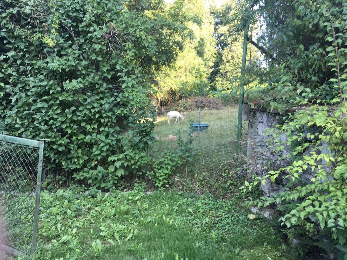 Predaj domu 80 m², pozemek 800 m², Klagenfurt, Korutánsko Predaj domu 80 m², pozemek 800 m², Klagenfurt, Korutánsko