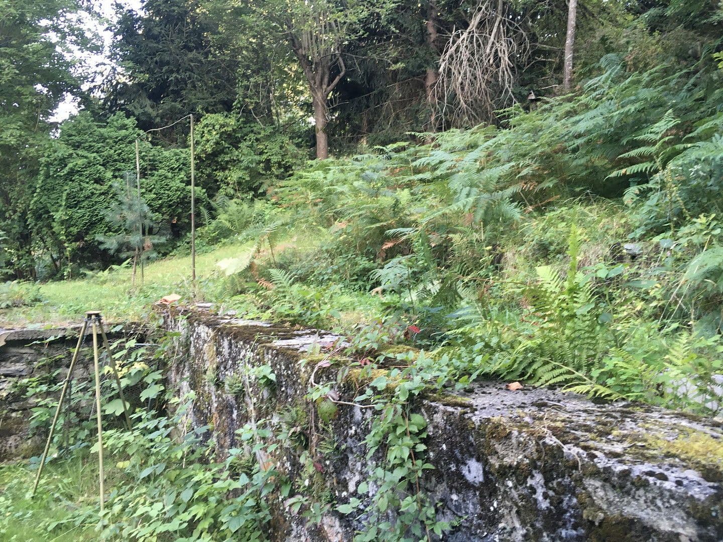 Predaj domu 80 m², pozemek 800 m², Klagenfurt, Korutánsko Predaj domu 80 m², pozemek 800 m², Klagenfurt, Korutánsko