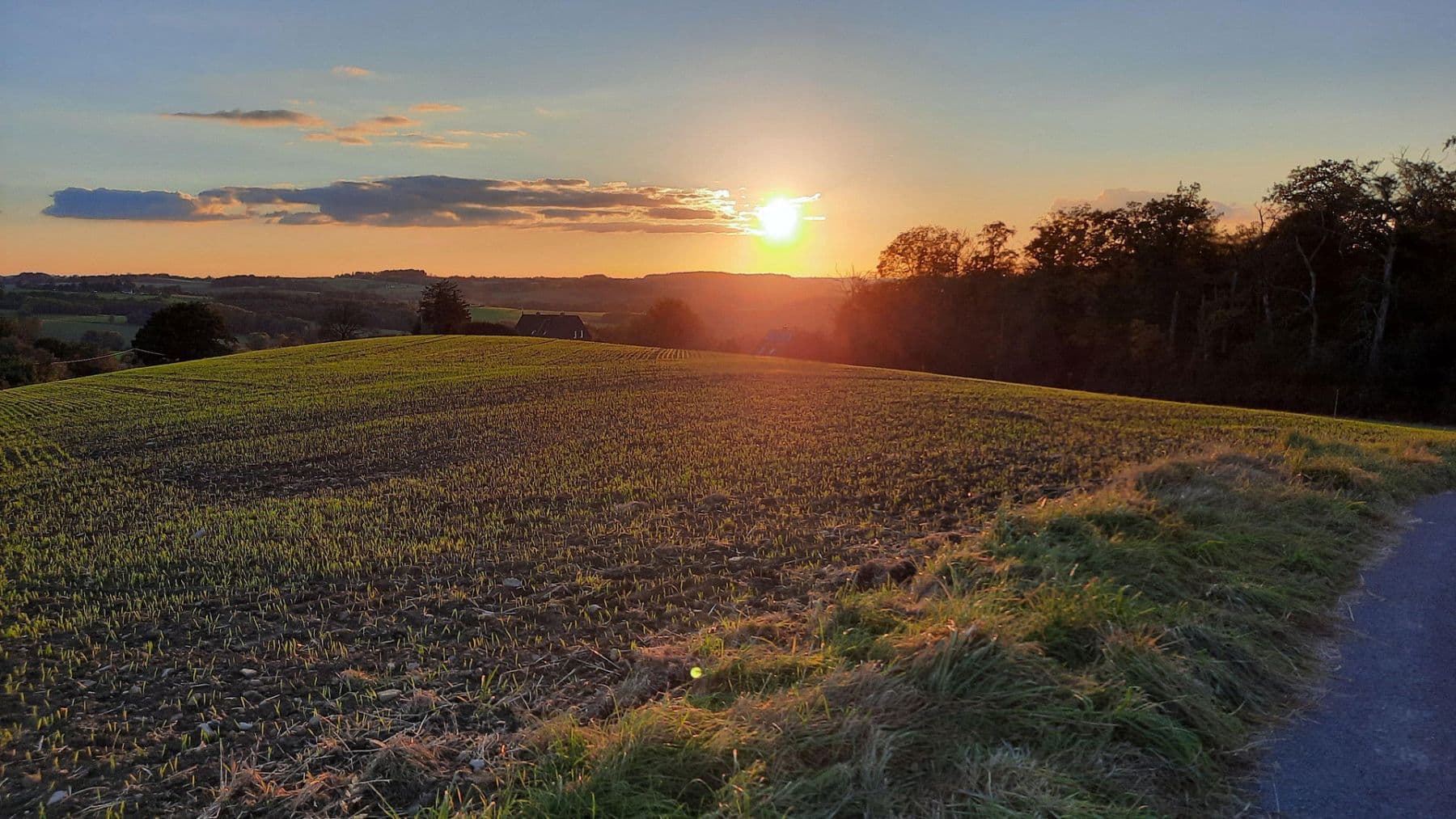 Predaj domu 160 m², pozemek 2.688 m², Am Korstick 46, Essen, Severné Porýnie - Westfálsko Predaj domu 160 m², pozemek 2.688 m², Am Korstick 46, Essen, Severné Porýnie - Westfálsko