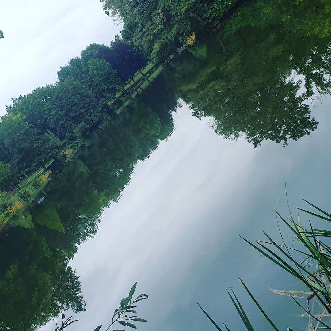 Prenájom bytu 3-izbový 75 m², Neunkirchen, Sársko Prenájom bytu 3-izbový 75 m², Neunkirchen, Sársko