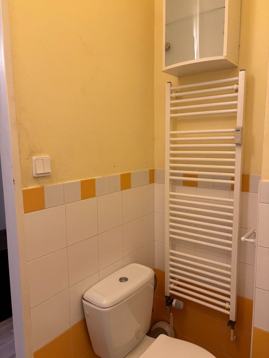 Prenájom bytu 1-izbový 32 m², Bieblova, Praha, Praha Prenájom bytu 1-izbový 32 m², Bieblova, Praha, Praha