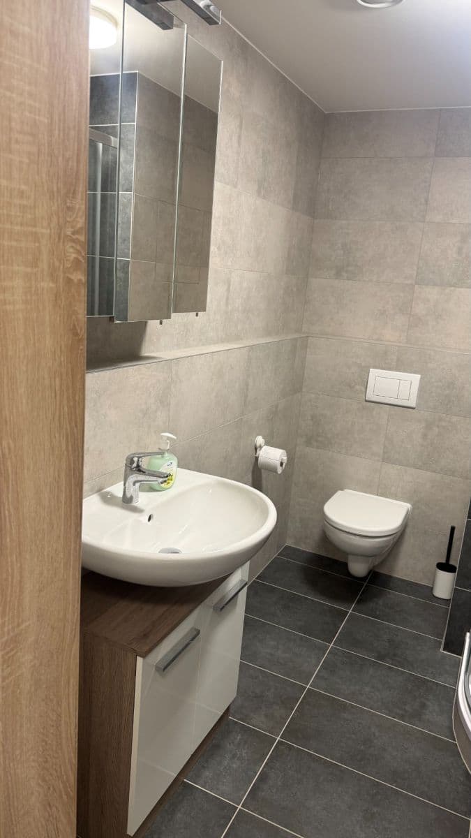 Prenájom bytu 1-izbový 30 m², Strančická, Praha, Praha Prenájom bytu 1-izbový 30 m², Strančická, Praha, Praha