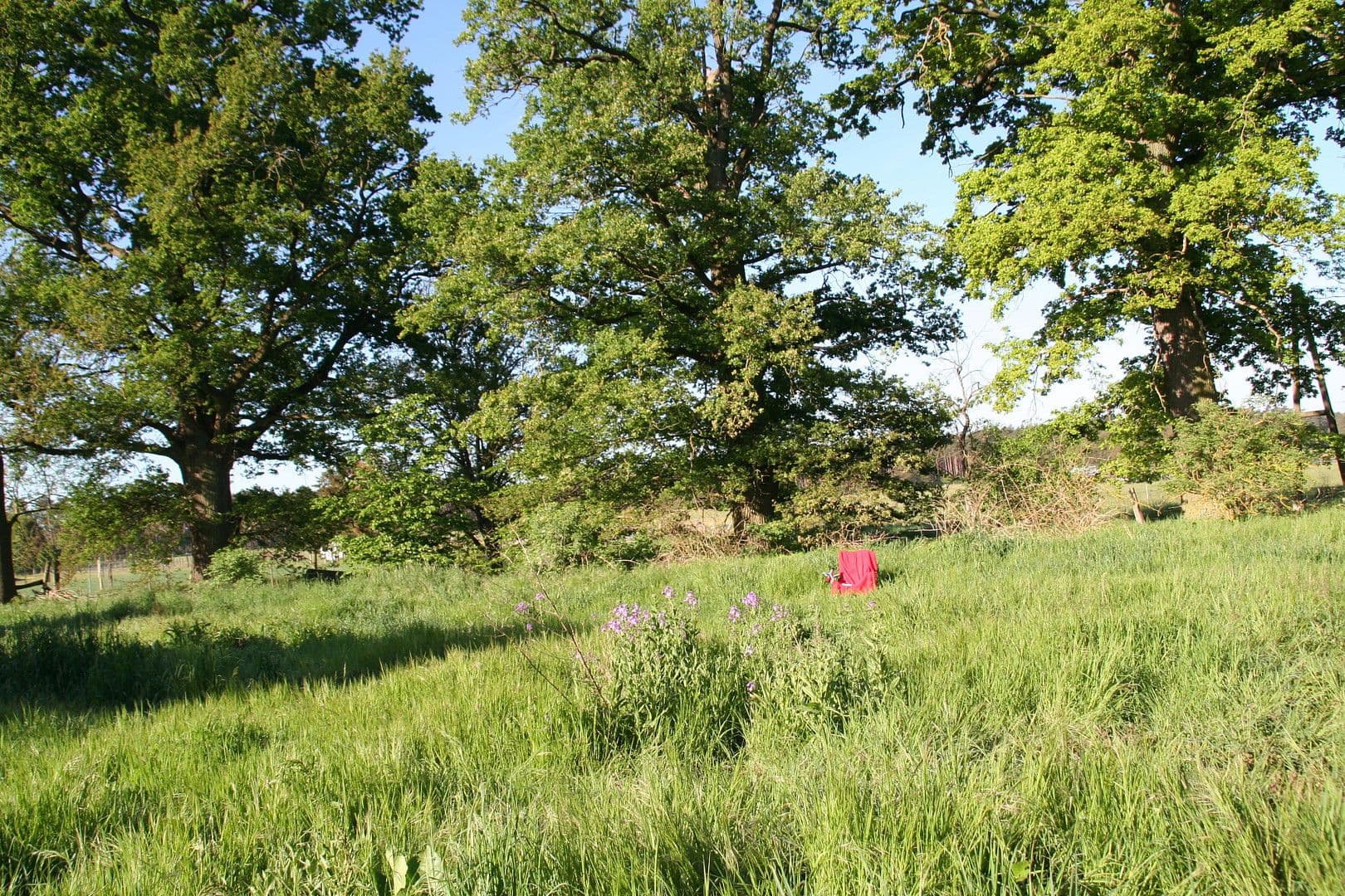 Predaj domu 450 m², pozemek 5.530 m², Grabow, Meklenbursko-Predpomoransko Predaj domu 450 m², pozemek 5.530 m², Grabow, Meklenbursko-Predpomoransko