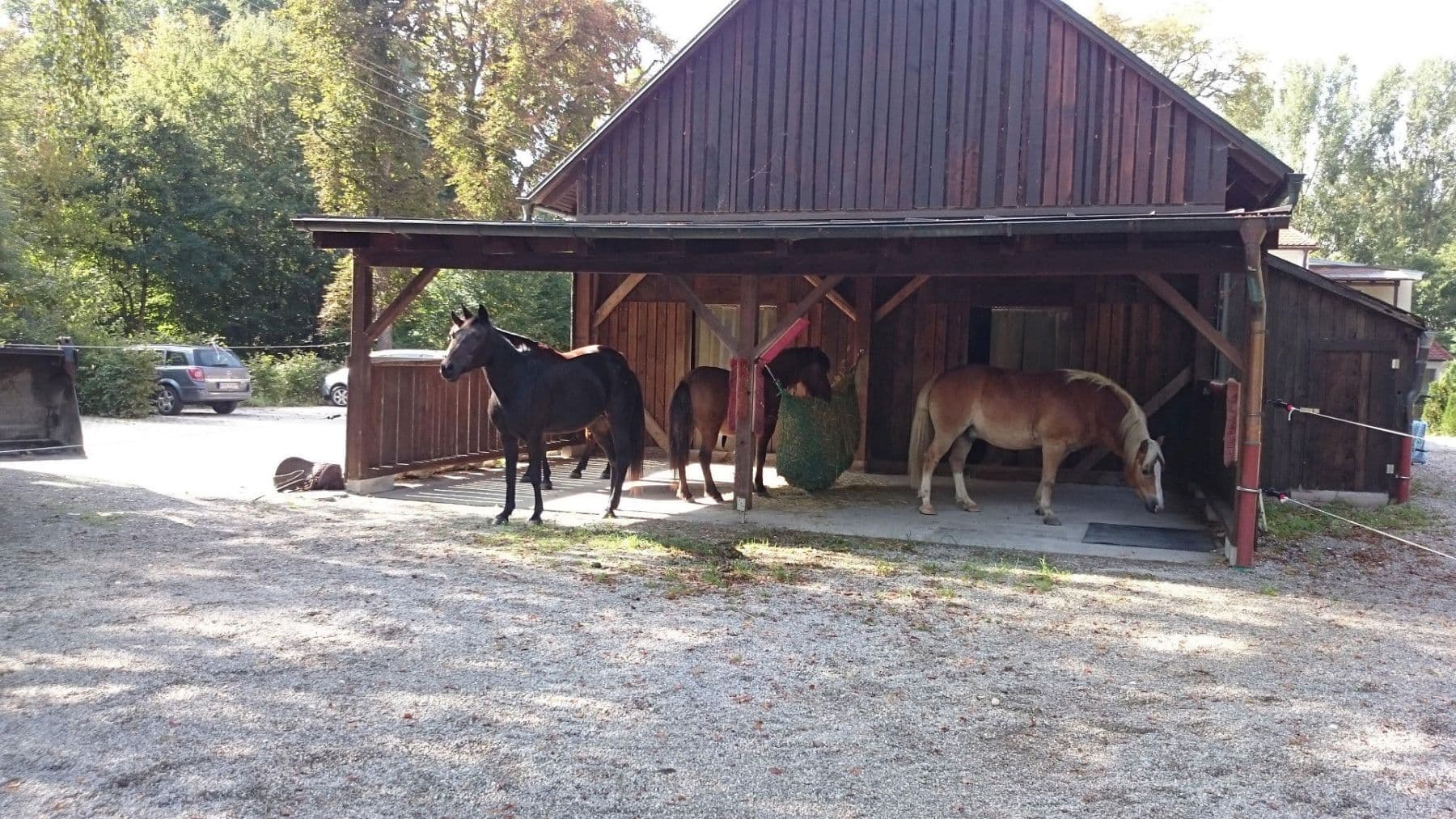 Predaj domu 480 m², pozemek 6.939 m², Egenhofen, Bavorsko Predaj domu 480 m², pozemek 6.939 m², Egenhofen, Bavorsko