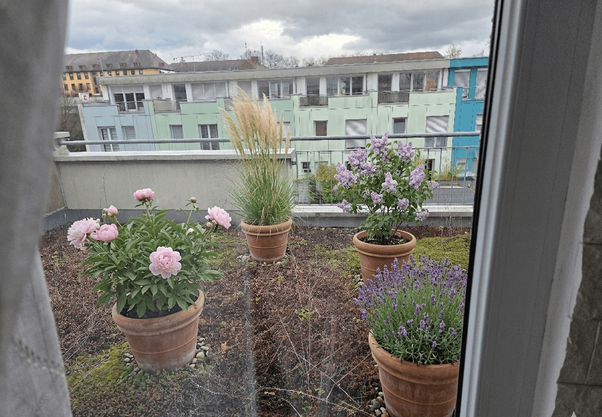 Predaj domu 175 m², pozemek 52 m², Aschaffenburg, Bavorsko Predaj domu 175 m², pozemek 52 m², Aschaffenburg, Bavorsko