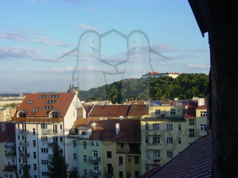 Prenájom bytu 3-izbový 127 m², Čápkova, Brno, Jihomoravský kraj Prenájom bytu 3-izbový 127 m², Čápkova, Brno, Jihomoravský kraj