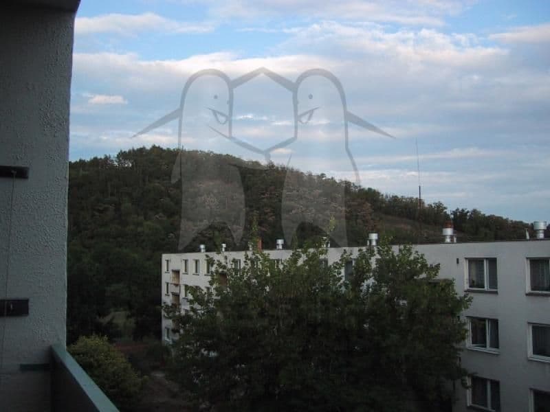 Prenájom bytu 2-izbový 56 m², Řezáčova, Brno, Jihomoravský kraj Prenájom bytu 2-izbový 56 m², Řezáčova, Brno, Jihomoravský kraj