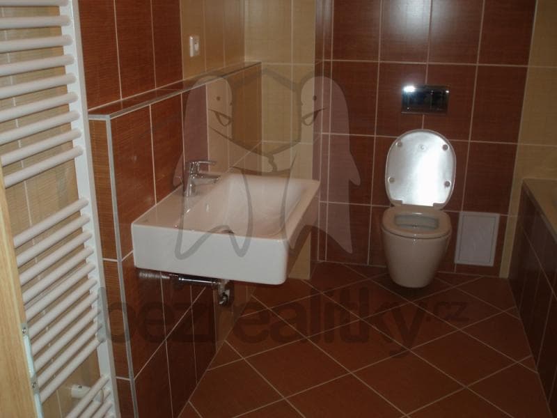 Prenájom bytu 1-izbový 45 m², Chýně, Středočeský kraj Prenájom bytu 1-izbový 45 m², Chýně, Středočeský kraj