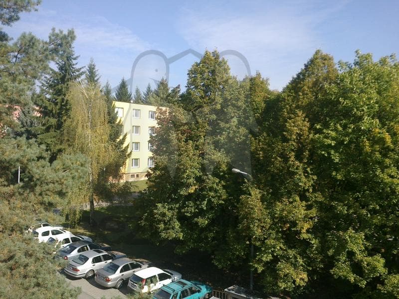 Prenájom bytu 2-izbový 60 m², Foerstrova, Brno, Jihomoravský kraj Prenájom bytu 2-izbový 60 m², Foerstrova, Brno, Jihomoravský kraj