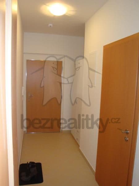 Prenájom bytu 1-izbový 30 m², Prušánecká, Praha, Praha Prenájom bytu 1-izbový 30 m², Prušánecká, Praha, Praha