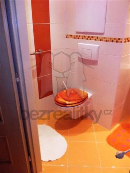 Prenájom bytu 1-izbový 27 m², Mongolská, Ostrava, Moravskoslezský kraj Prenájom bytu 1-izbový 27 m², Mongolská, Ostrava, Moravskoslezský kraj
