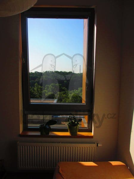 Prenájom bytu 1-izbový 26 m², Mezitraťová, Praha, Praha Prenájom bytu 1-izbový 26 m², Mezitraťová, Praha, Praha