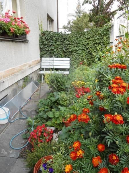 Prenájom bytu 2-izbový 40 m², Roztylské sady, Praha, Praha Prenájom bytu 2-izbový 40 m², Roztylské sady, Praha, Praha