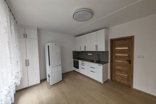Prenájom bytu 1-izbový 27 m², Komenského, Plzeň Prenájom bytu 1-izbový 27 m², Komenského, Plzeň