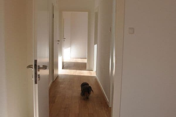 Prenájom bytu 2-izbový 41 m², Essen Prenájom bytu 2-izbový 41 m², Essen