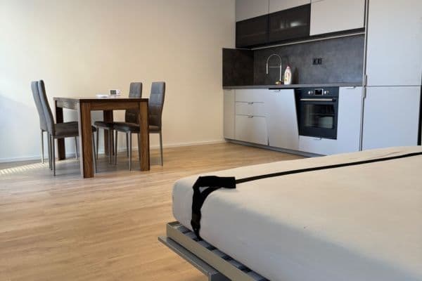 Prenájom bytu 1-izbový 39 m², Auerswaldova, Brno Prenájom bytu 1-izbový 39 m², Auerswaldova, Brno