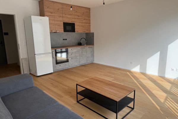 Prenájom bytu 1-izbový 35 m², Bratislavská, Brno, Jihomoravský kraj Prenájom bytu 1-izbový 35 m², Bratislavská, Brno, Jihomoravský kraj