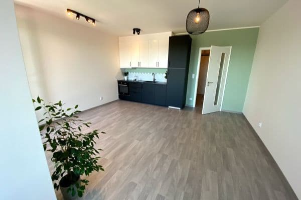 Prenájom bytu 1-izbový 41 m², Olgy Havlové, Praha Prenájom bytu 1-izbový 41 m², Olgy Havlové, Praha