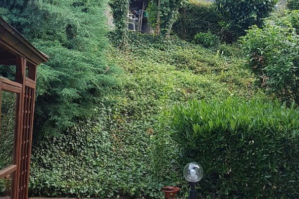 Prenájom bytu 4-izbový 124 m², Theodor-Frey-Straße 35, Eberbach Prenájom bytu 4-izbový 124 m², Theodor-Frey-Straße 35, Eberbach