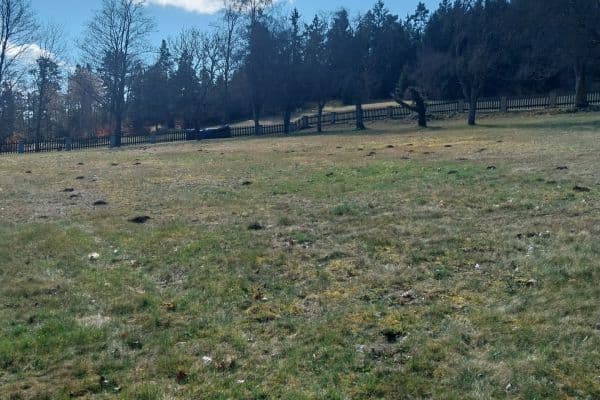 Predaj pozemku 1.898 m², Třísov Predaj pozemku 1.898 m², Třísov