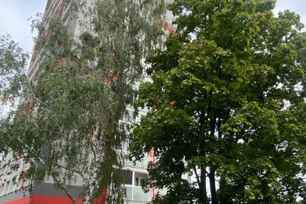 Predaj bytu 3-izbový 64 m², Výškovická, Ostrava Predaj bytu 3-izbový 64 m², Výškovická, Ostrava