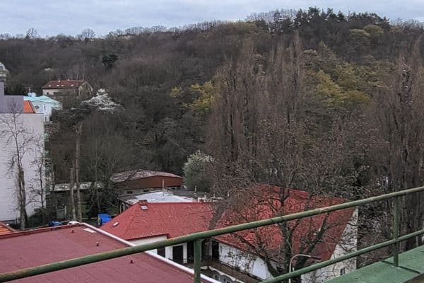 Prenájom bytu 2-izbový 51 m², Vrchlického, Praha Prenájom bytu 2-izbový 51 m², Vrchlického, Praha