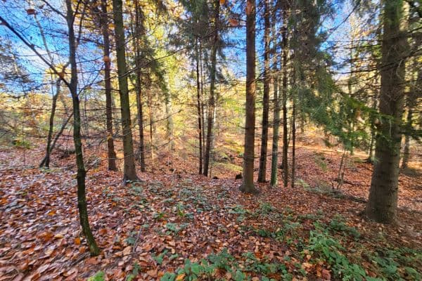 Predaj pozemku 31.850 m², Bílovec Predaj pozemku 31.850 m², Bílovec