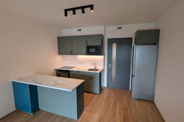 Prenájom bytu 1-izbový 47 m², Poděbradská, Praha Prenájom bytu 1-izbový 47 m², Poděbradská, Praha