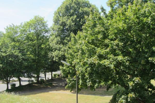 Predaj bytu 2-izbový 57 m², Alfter / Bonn Predaj bytu 2-izbový 57 m², Alfter / Bonn