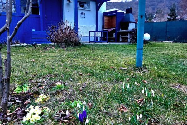 Prenájom rekreačného objektu 42 m², pozemek 481 m², Pod Chybou, Zadní Třebaň Prenájom rekreačného objektu 42 m², pozemek 481 m², Pod Chybou, Zadní Třebaň