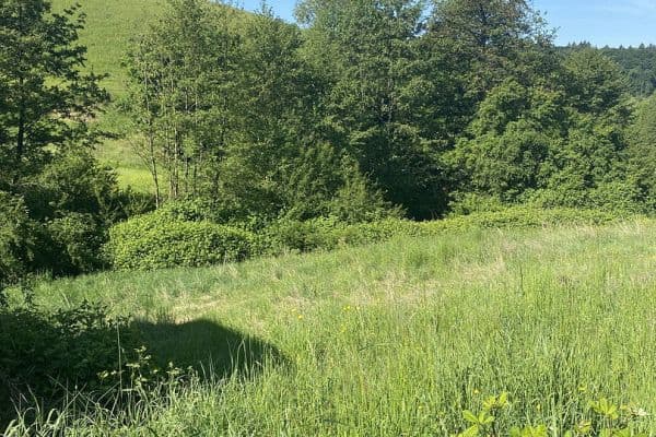 Predaj pozemku 632 m², Gorxheimertal Predaj pozemku 632 m², Gorxheimertal