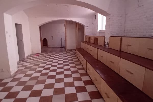 Prenájom nebytového priestoru 113 m², Lucemburská, Praha Prenájom nebytového priestoru 113 m², Lucemburská, Praha