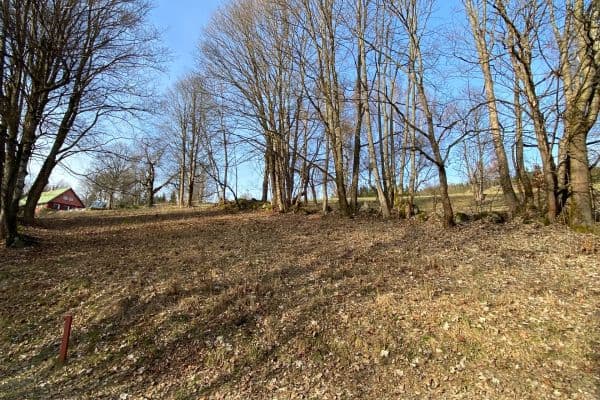 Predaj pozemku 1.024 m², Albrechtice v Jizerských horách Predaj pozemku 1.024 m², Albrechtice v Jizerských horách